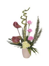 Soft Arrangement